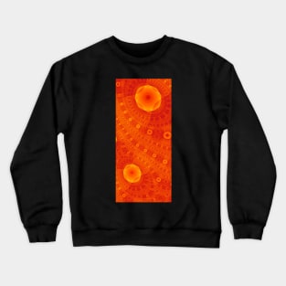 Amber Waves 16 Crewneck Sweatshirt